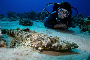 Crocodilefish & Diver by Iyad Suleyman 